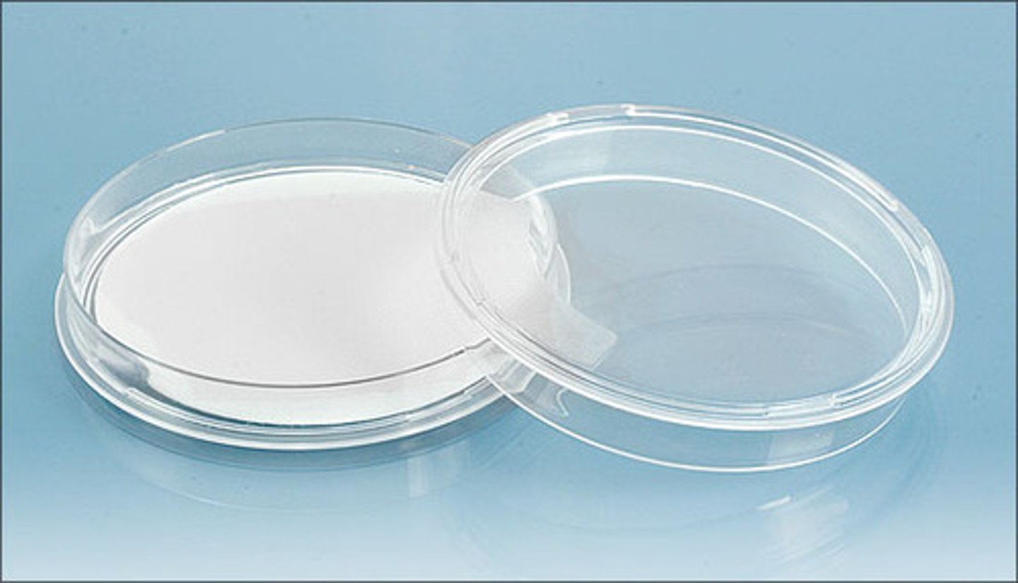 <p>dish used to isolate individual colonies of bacteria, provide large surface area</p>