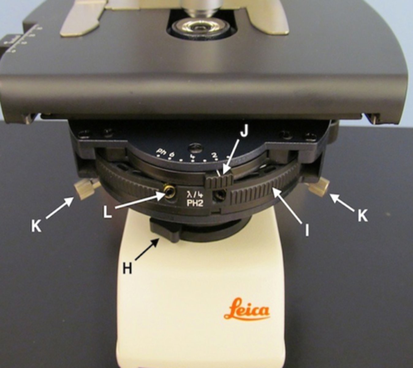 <p>H</p>