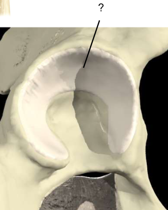 <p>Nom et caractéristiques de ce relief ?</p>