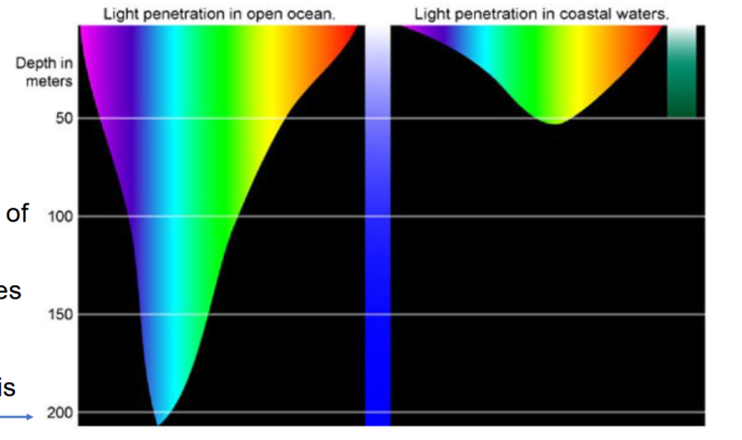 <p>photic zone - 0-200m</p><p>not all light penetrates down to 200m</p><p>why coastal light doesnt reach 200m - lot of stuff in the way (phytoplankton, silt, dust, more particles essentially) so it physically cant reach</p>