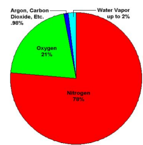 <p>Nitrogen Oxygen Argon Neon</p>