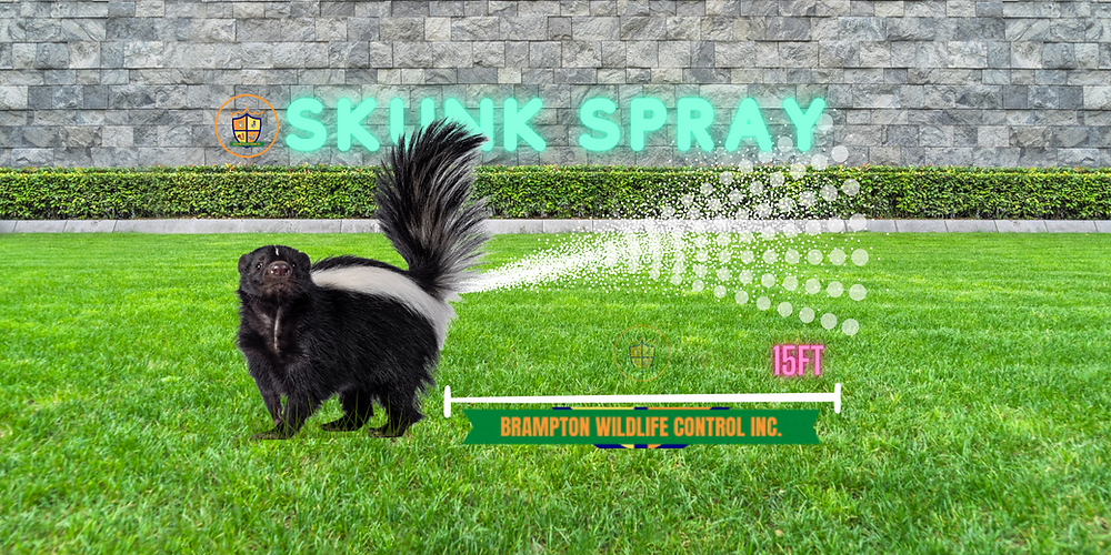 <p>his/her own spray</p>