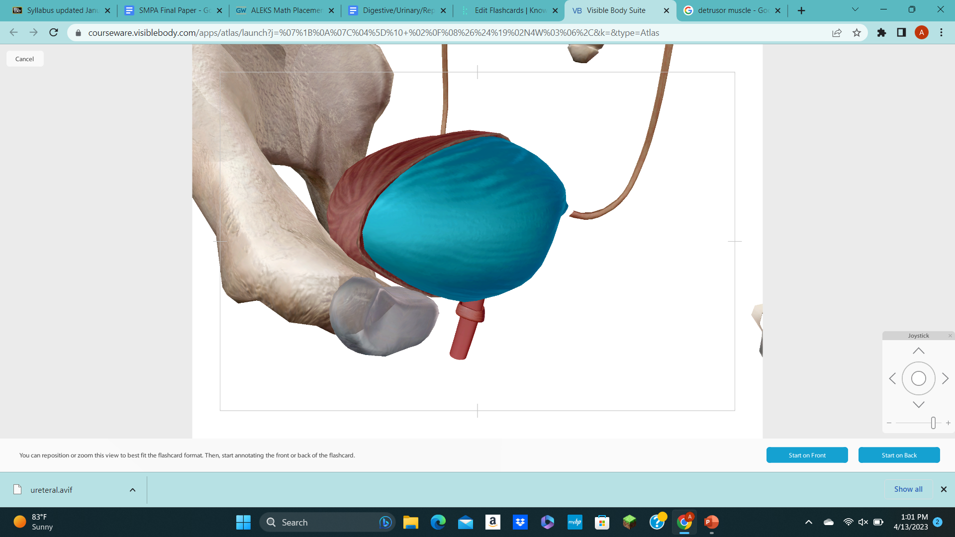 knowt flashcard image