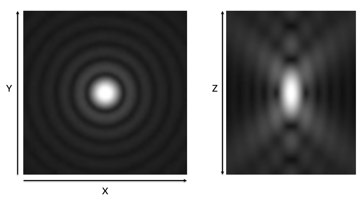 <p>What does this image show? </p>