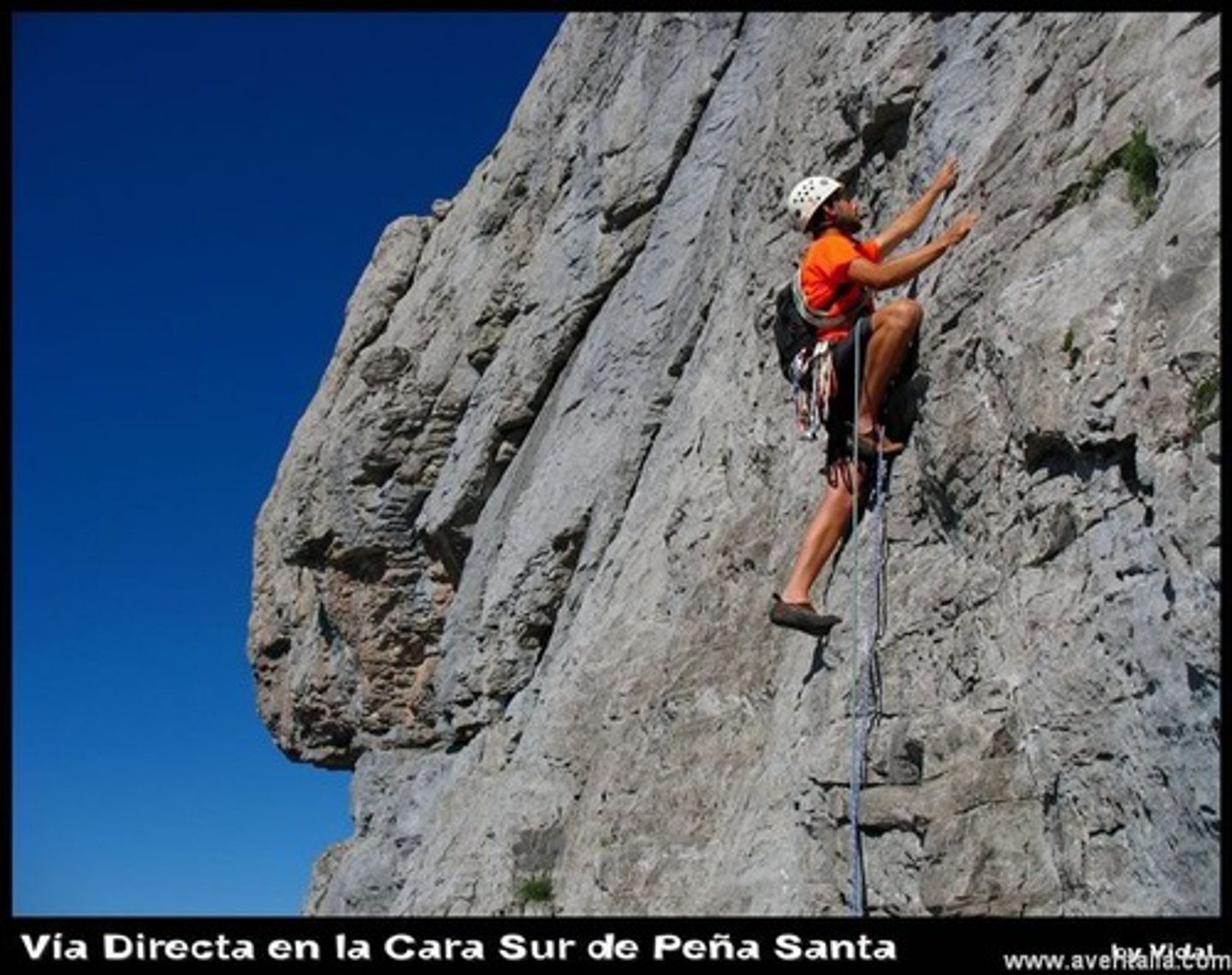 <p>to go mountain climbing</p>