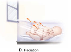 <ul><li><p>loss of heat by infrared rays ; objects are not in contact (receiving heat from the sun)</p></li><li><p>Explains why cold room warms up after it fills with people</p></li><li><p>Normally accounts for about 50% of body’s heat loss</p></li></ul><p></p>