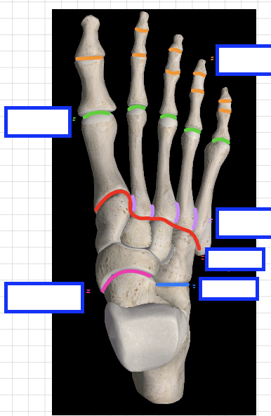 <p>red joint</p>