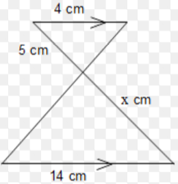 Solve for x
