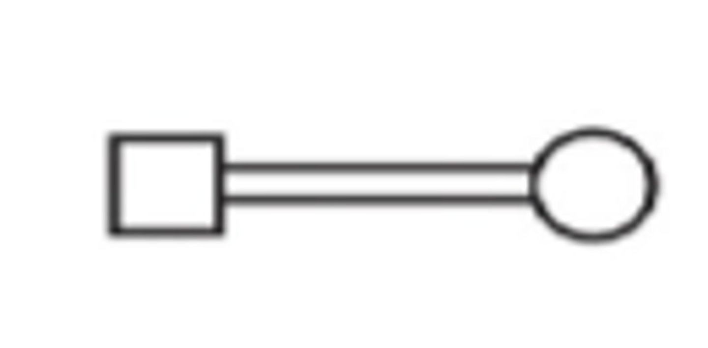 <p>individuals closely related</p>