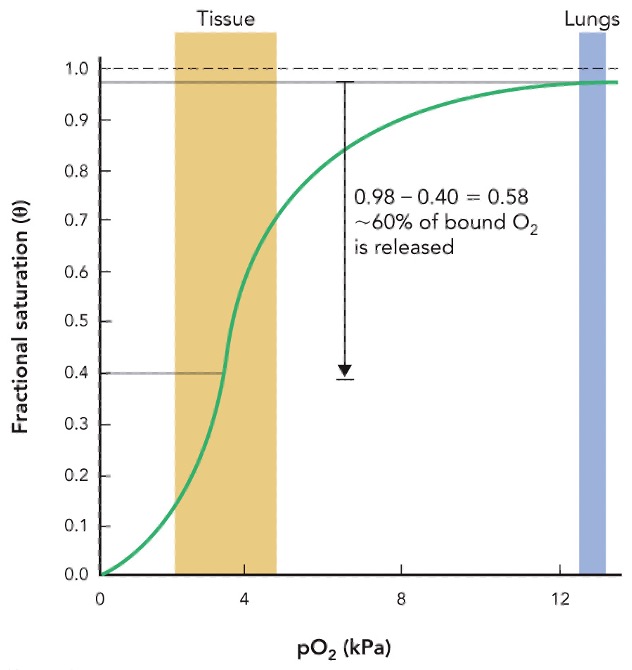 <p>this graph represents&nbsp;</p>