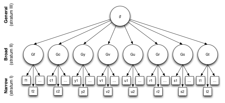 mental abilities organized into not rigidly defined strata