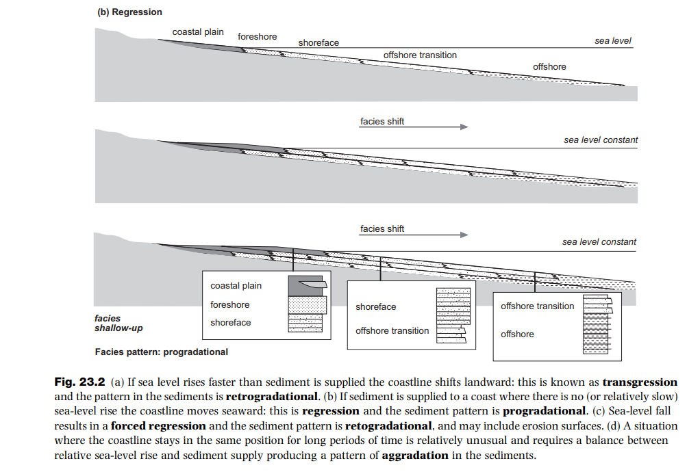 <p>Shoreline shifts seaward due to sedimentation.</p><p>Sedimentation>Sea level rise.</p><p>Progradational pattern of facies.(coarsening upward)</p>