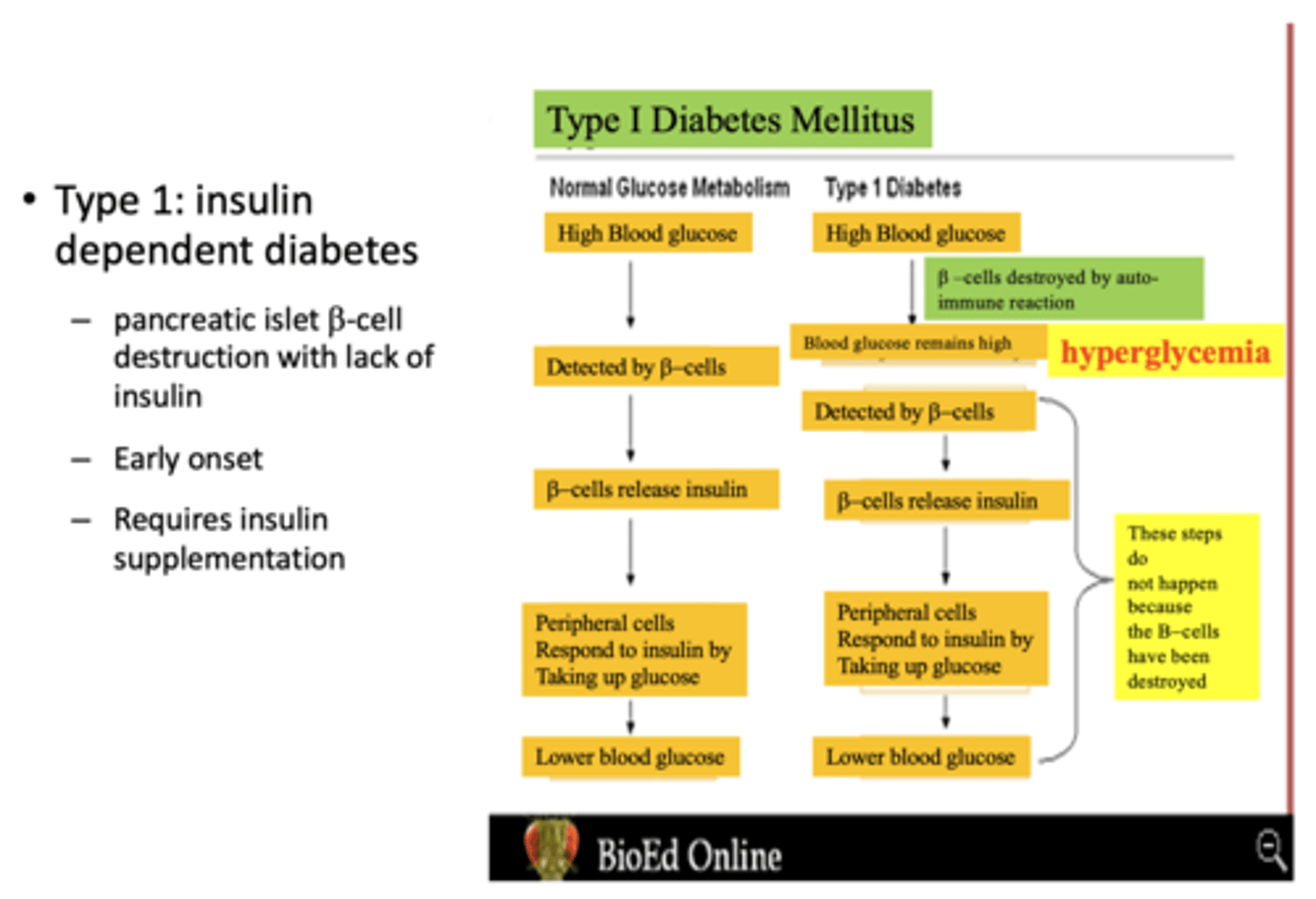 <p>Type 1 diabetes</p>