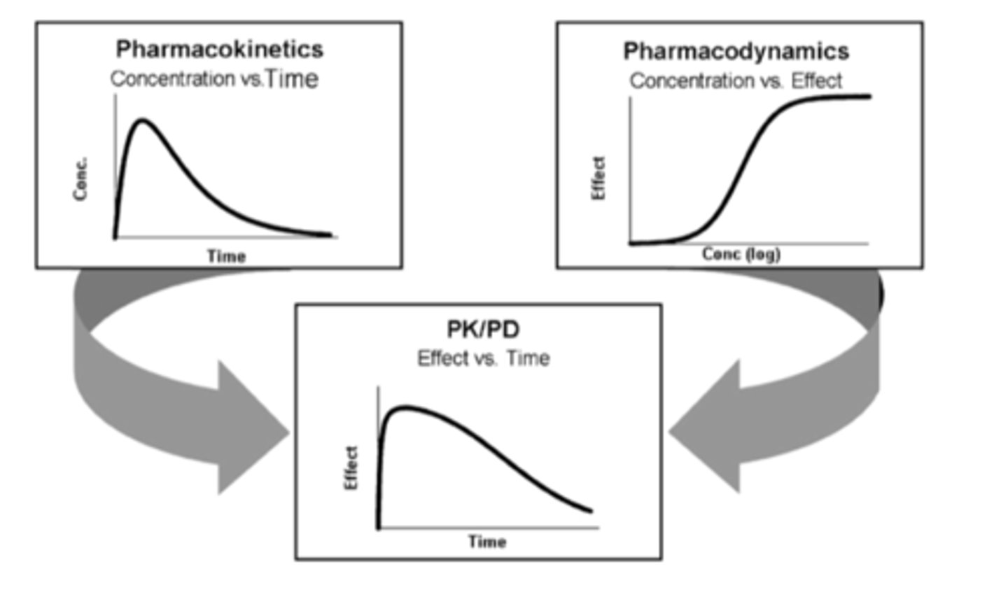 <p>PK: concentration depends on time</p><p>PD: effect depends on conc.</p><p>PK/PD: effect depends on time</p>
