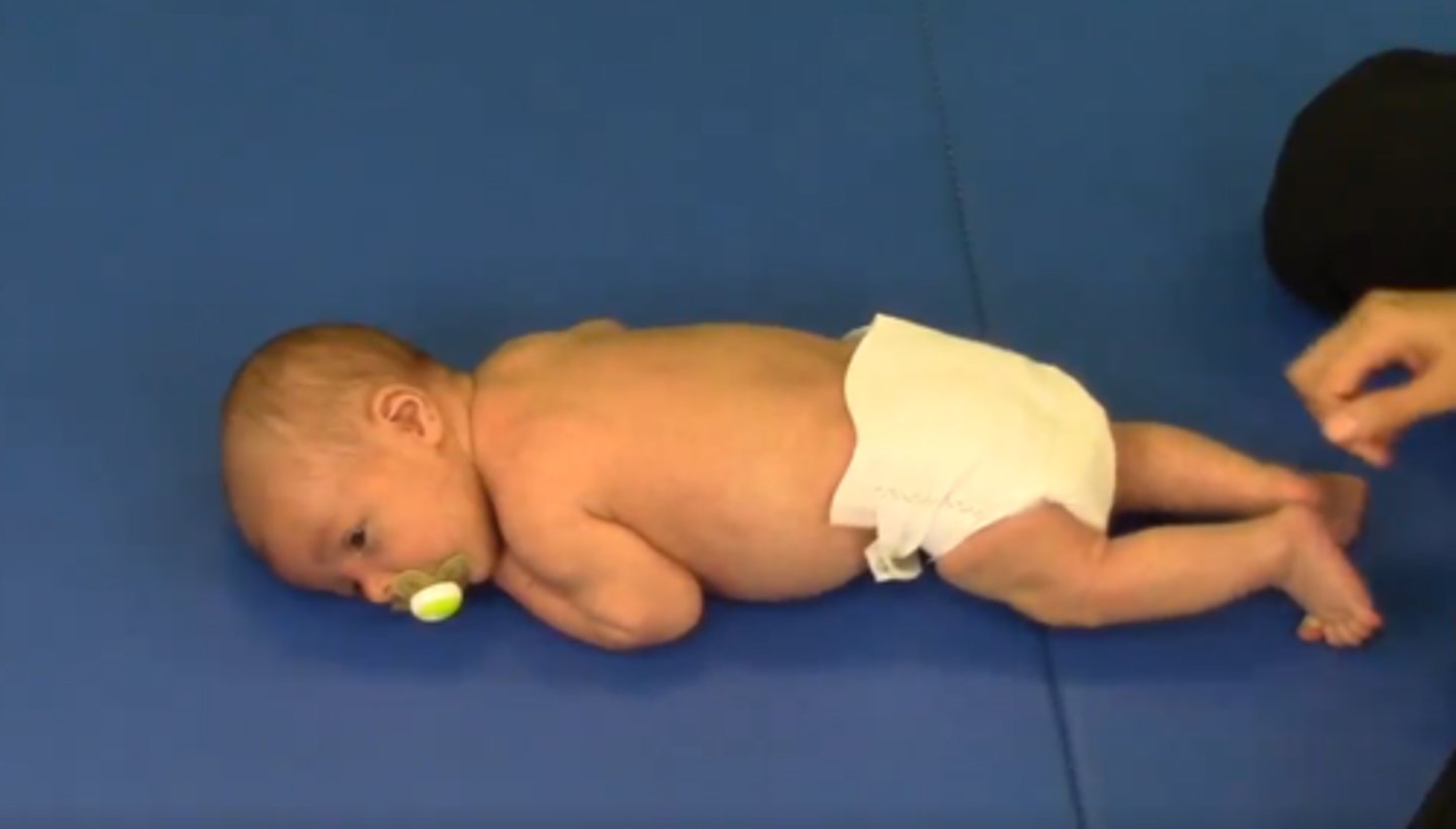 <p>Head lifting and turning head</p>