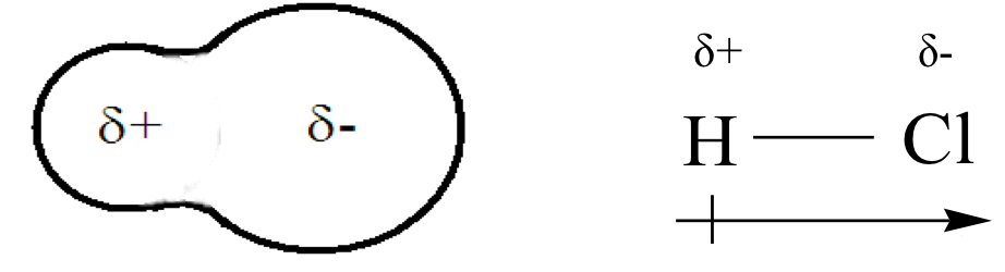 <p>What does the arrow represent?</p>