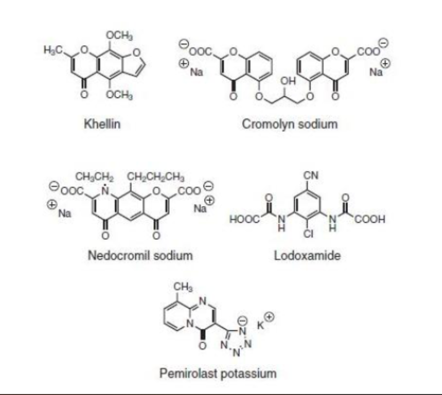 <p>all mast cell stabilizers have either one of two functional groups, what are they? </p>
