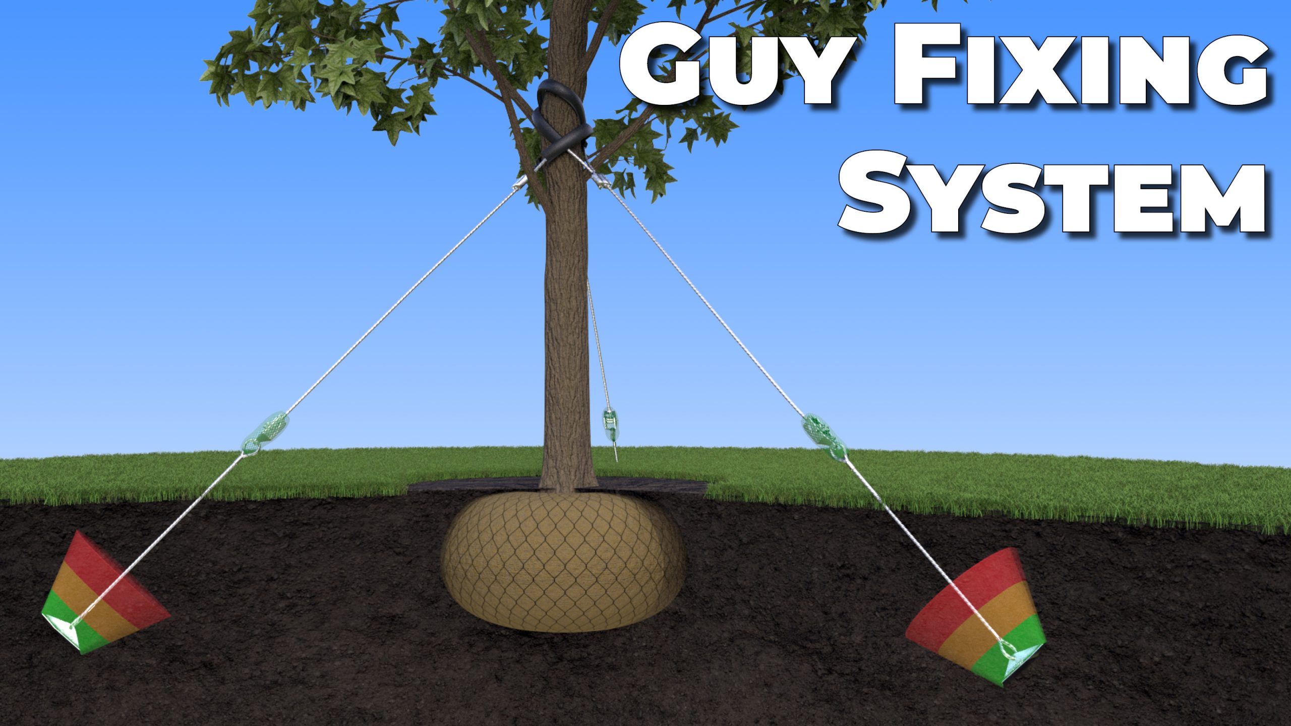 <p>Support systems using wire or rope run from tree to soil or anchor tree</p>