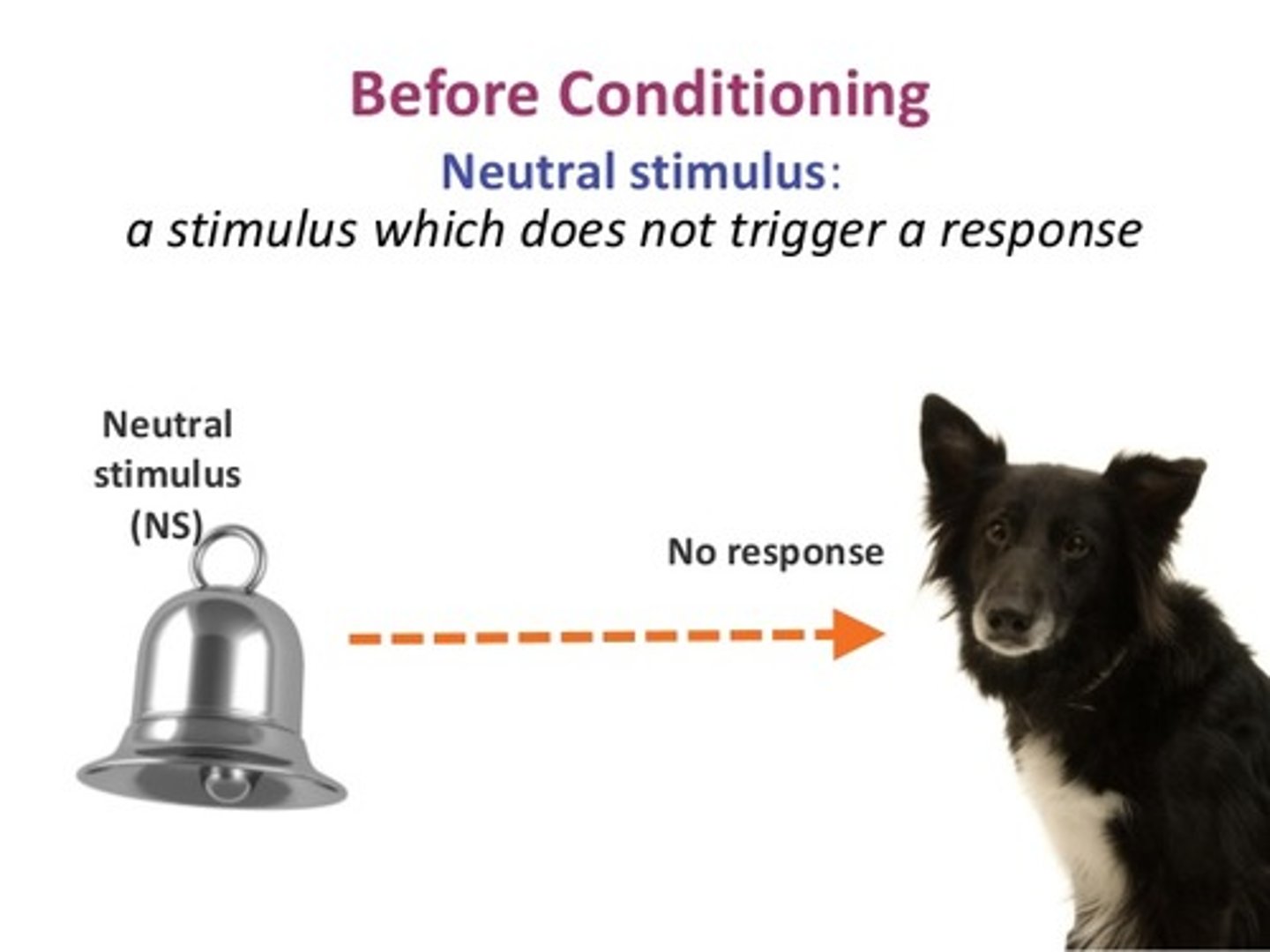 <p>in classical conditioning, a stimulus that elicits no response before conditioning.</p>