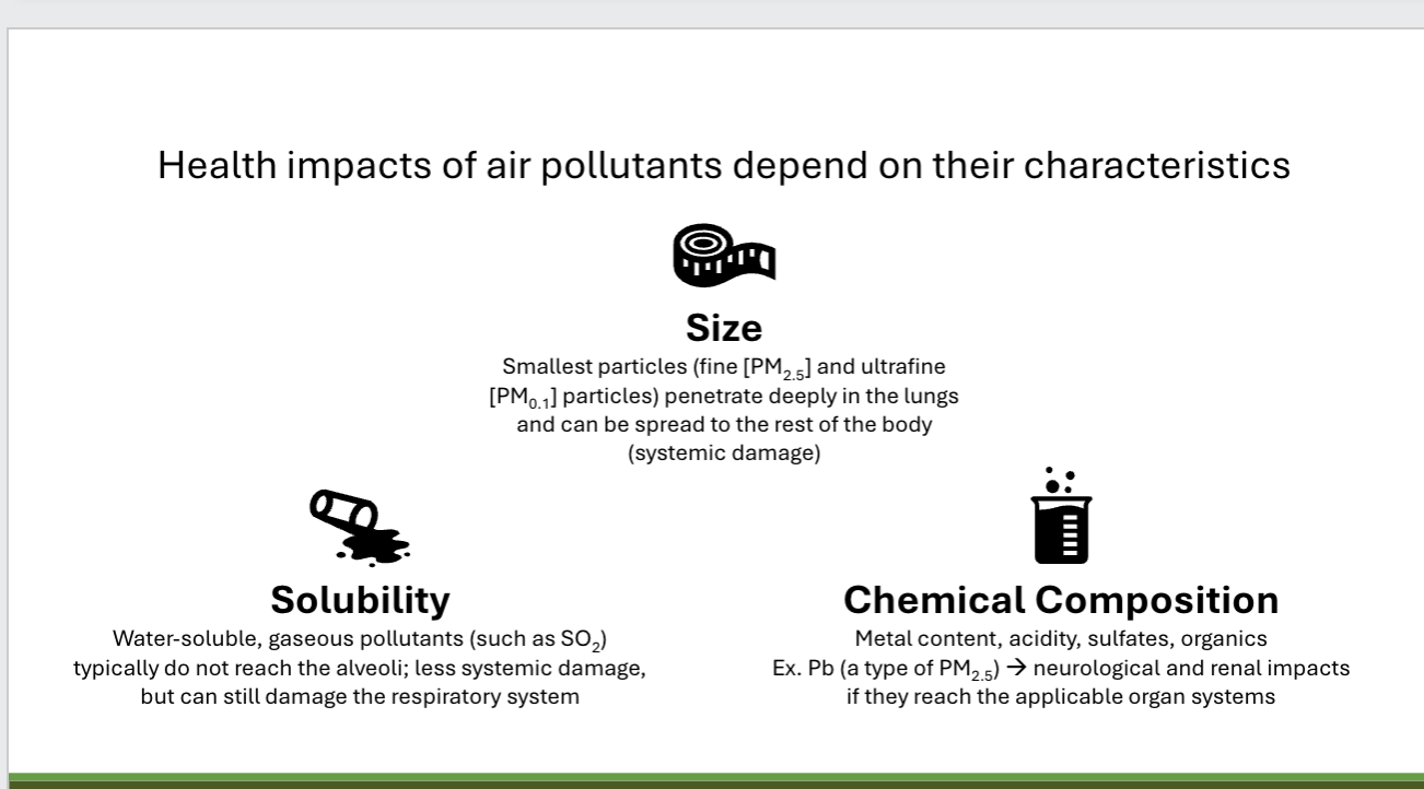 <p>size: smallest particles (fine PM2.5) and ultrafine (PM0.1) particles penetrate deeply in the lungs and can be spread to the rest of the body (systemic damage)</p><p>solubility: water-soluble, gaseous pollutants (such as SO2) typically do not reach the alveoli; less systemic damage, but can still damage the respiratory system</p><p>chemical composition: metal content, acidity, sulfates, organics ex: PB( a type of PM2.5)—> neurological and renal impacts if reached applicable systems </p>