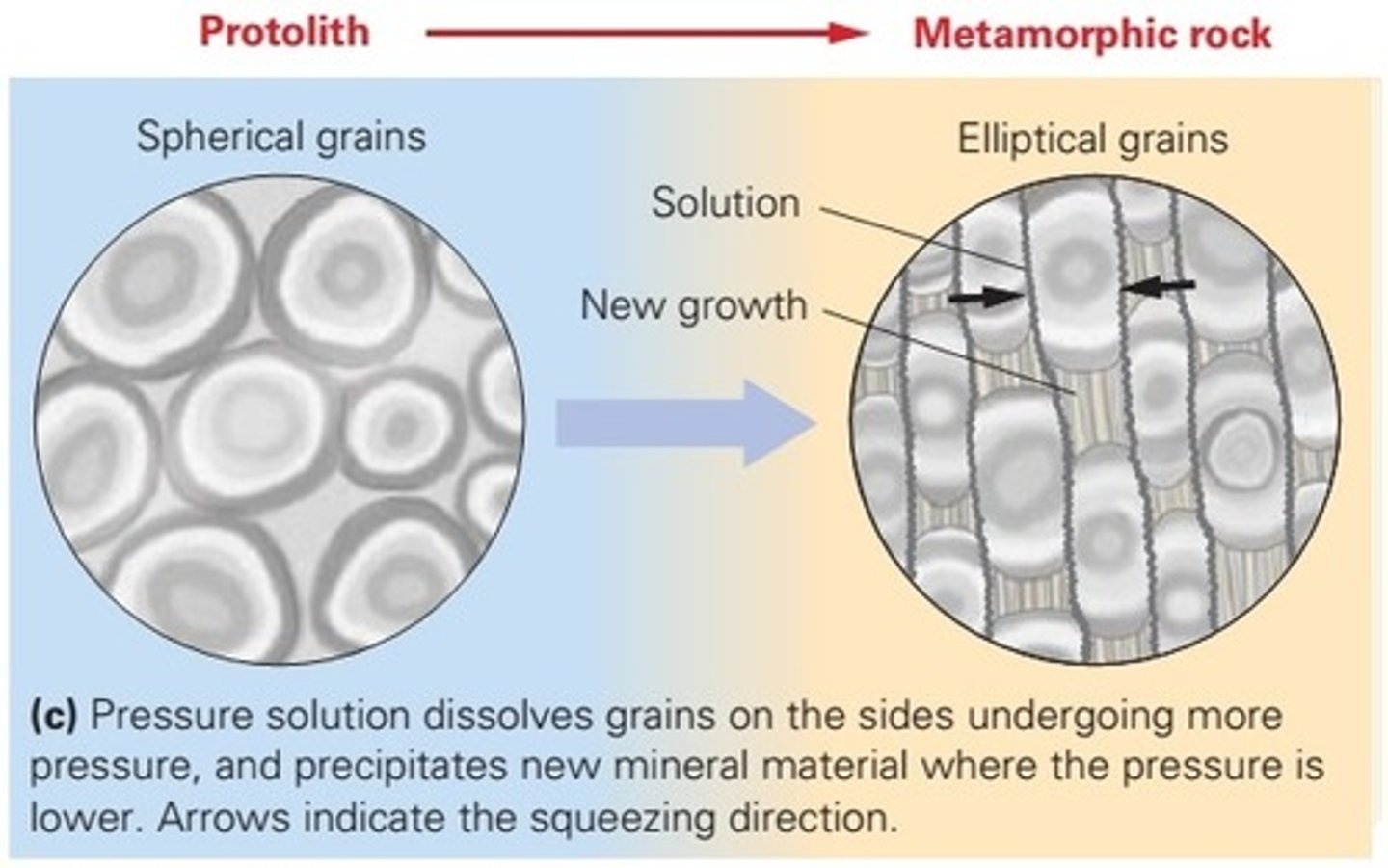 <p>metamorphic formation process; happens when a WET rock is squeezed more strongly in one direction that in others at relatively low pressures and temperatures, in the presence of water. Mineral grains dissolve where their surfaces are pressed against other grains, producing ions that migrate through the water to precipitate elsewhere.</p>