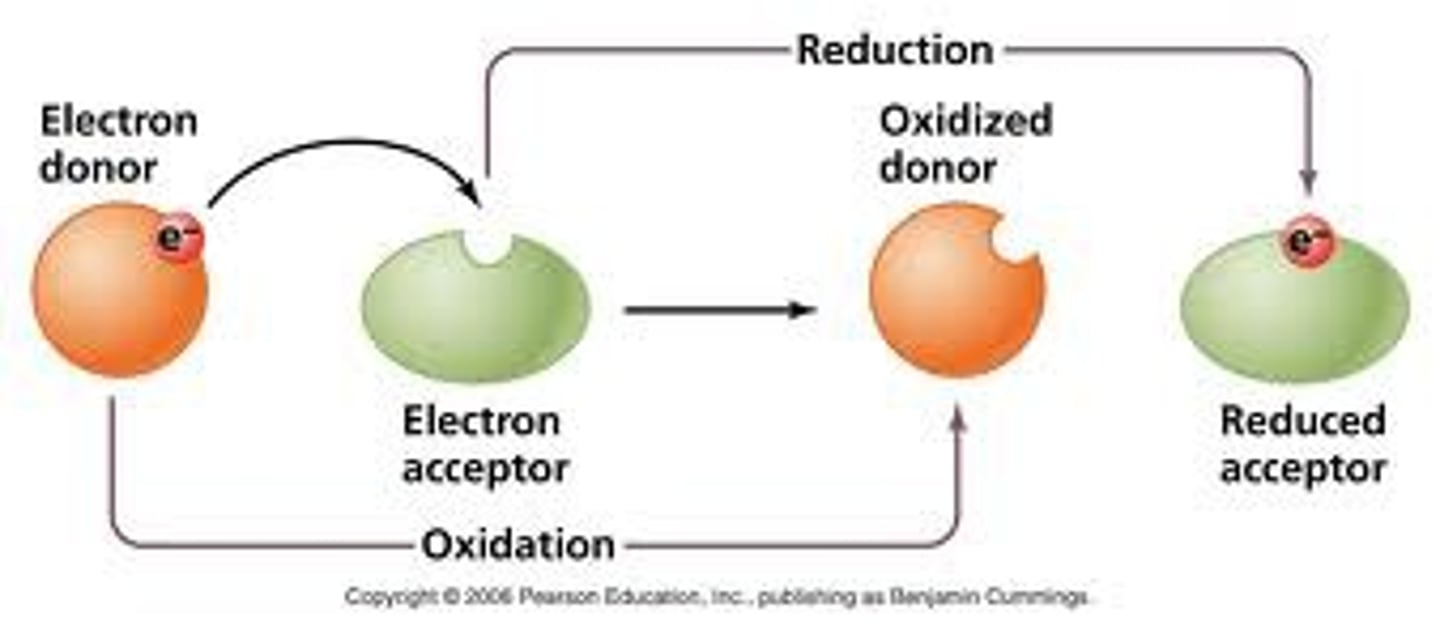 <p>a chemical reaction between two substances in which one substance is oxidized and the other reduced</p>