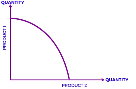 <p>What graph is this</p>