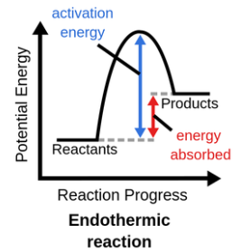 <p>Products have more energy than reactants</p>