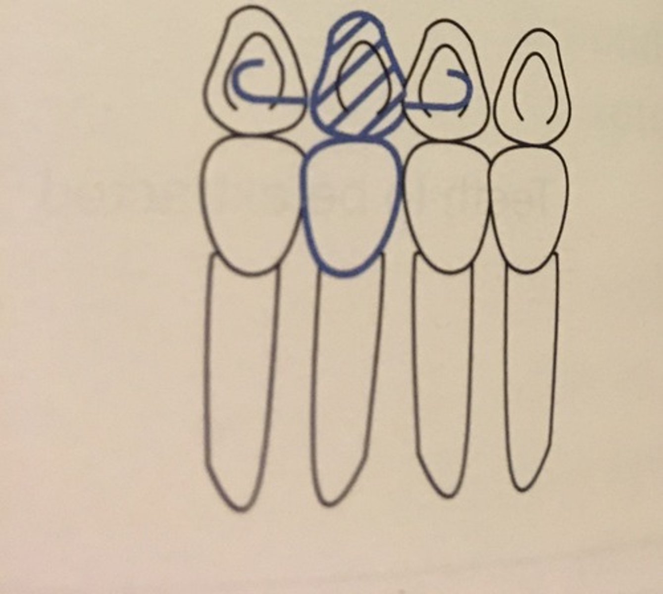 knowt flashcard image