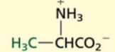 <p>Aliphatic[NONPOLAR]</p>