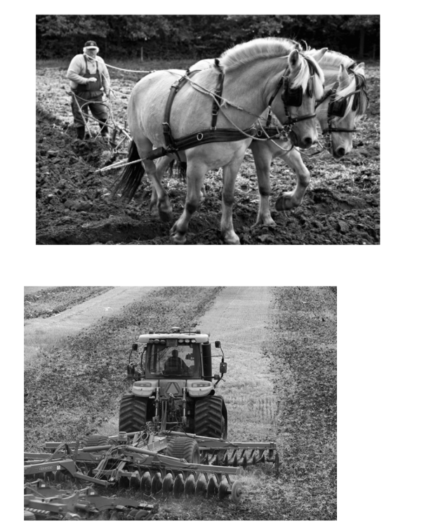 <p><span>The two images show different agricultural methods. In the context of the Second Agricultural Revolution, which of the following trends is represented in these images?</span></p><p><span>a. The introduction of machines during the Second Agricultural Revolution resulted in many farmers being pushed off their land, leading to famine and starvation in the countryside.</span></p><p><span>b. Although new farm machines were developed during the Second Agricultural Revolution, many farmers continued to practice agriculture in traditional ways because of cultural taboos associated with the adoption of modern farming techniques.</span></p><p><span>c. During the Second Agricultural Revolution, many farmers continued to use traditional farming techniques that were more suited to the tropical environments they lived in.</span></p><p><span>d. The mechanization of farming in the Second Agricultural Revolution resulted in more reliable crop harvests and healthier populations in areas where the mechanization was adopted.</span></p><p><span>e. The developments associated with the Second Agricultural Revolution were applicable only to farmers growing grain in temperate regions of the world.</span></p>