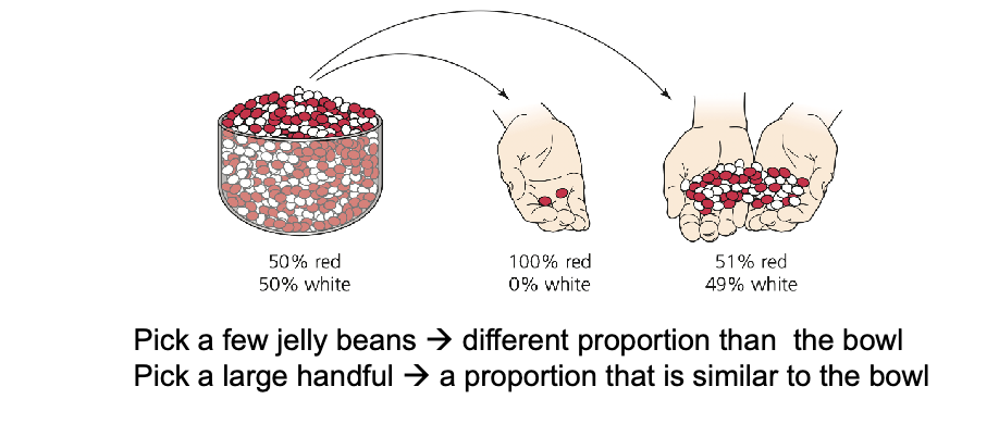 <p>Genetic drift results from RANDOM SAMPLING ERROR  </p>