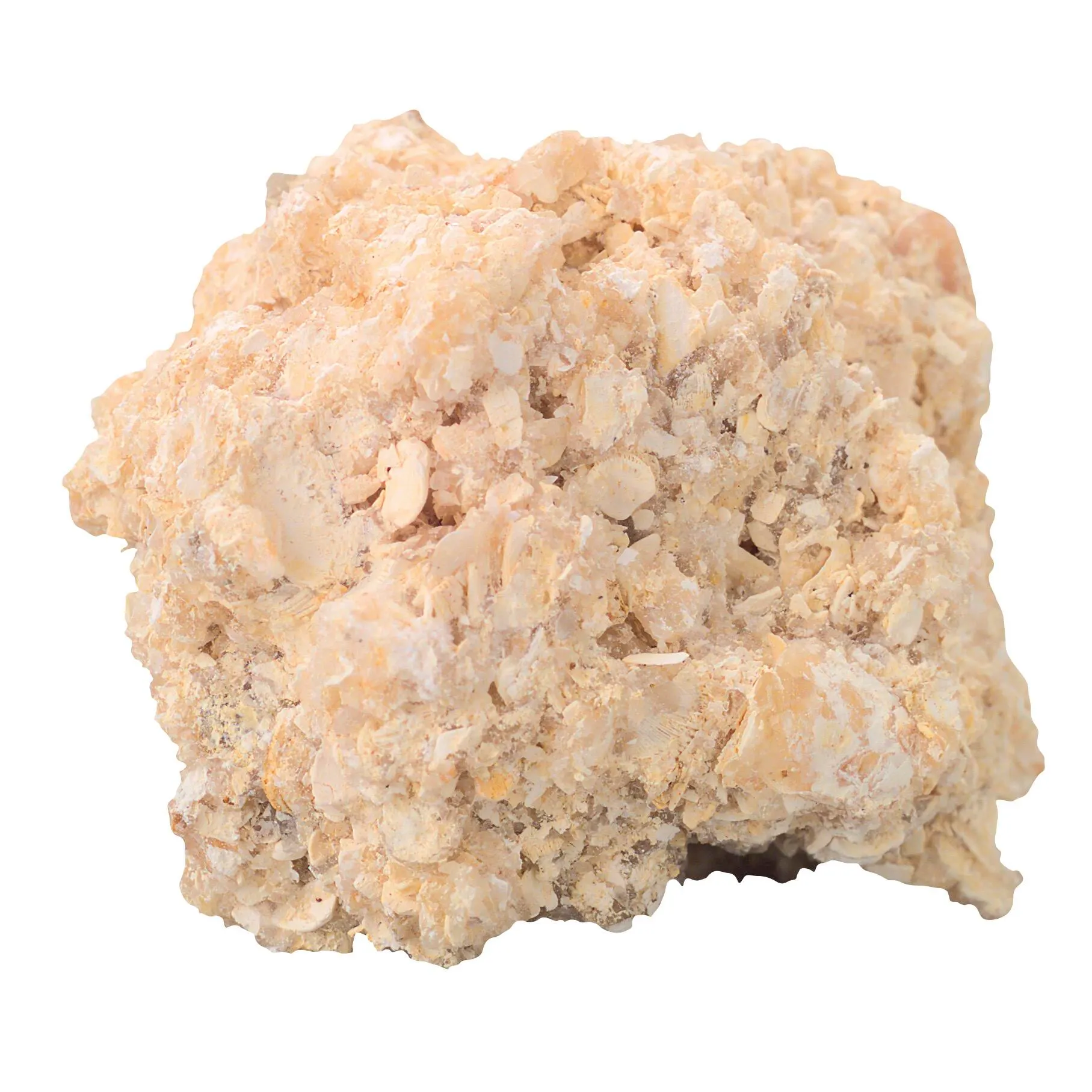 <p>Chemical, composition = calcite</p>