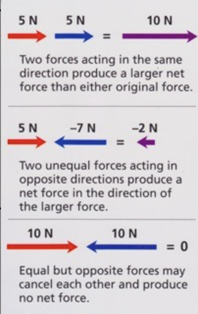 <p>The sum of all forces acting on an object</p>