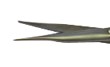 <p>What tip style is this</p>