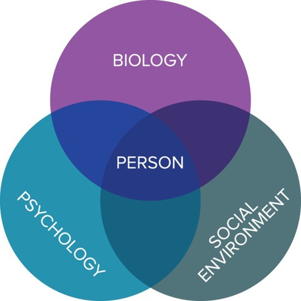<p>It is a model that integrates biological, psychological, and social factors in understanding health and disability.</p>
