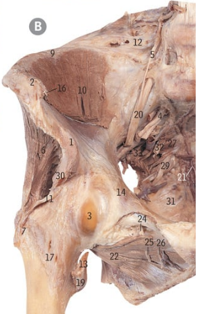 <p>27</p>