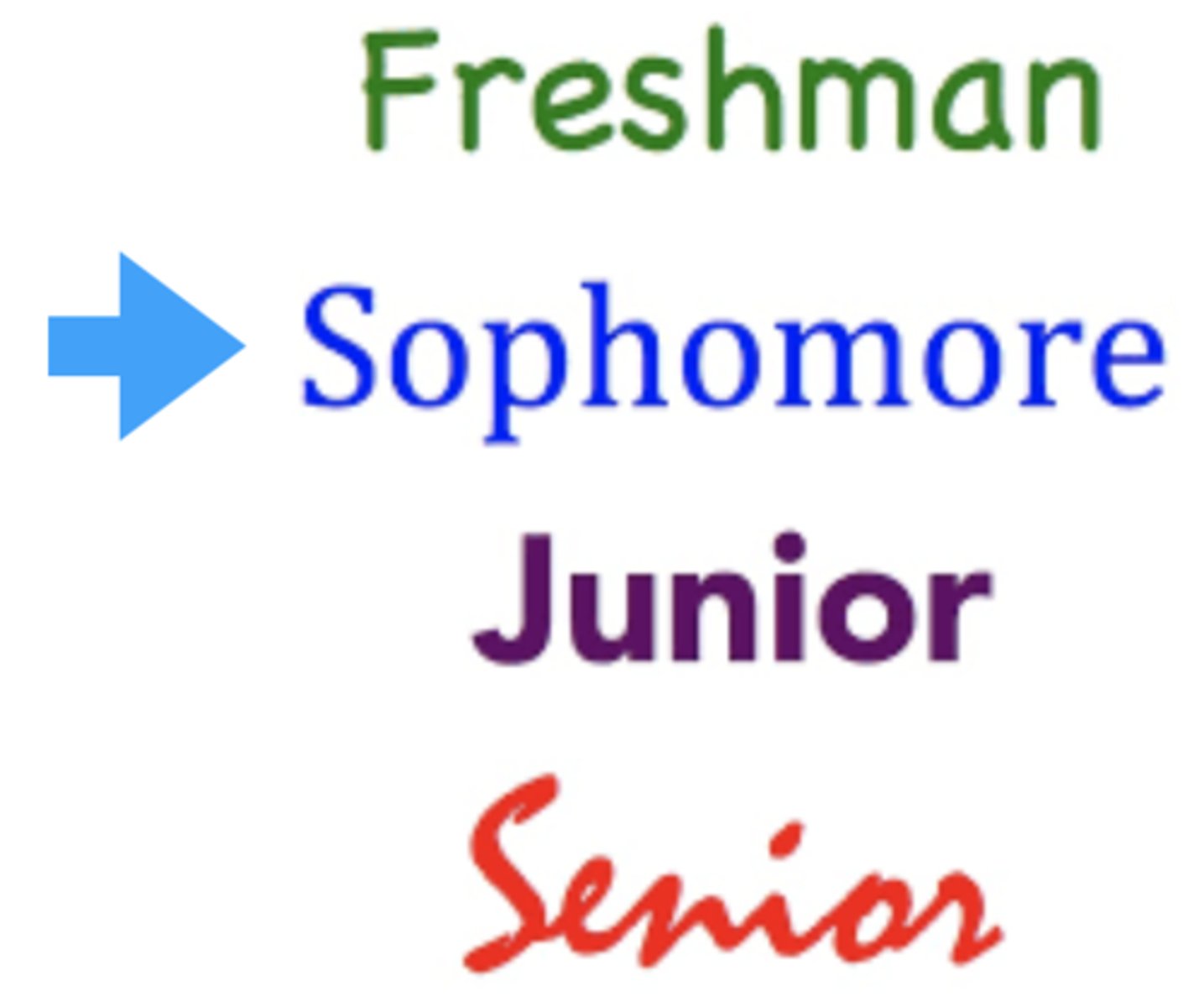 <p>sophomore</p>