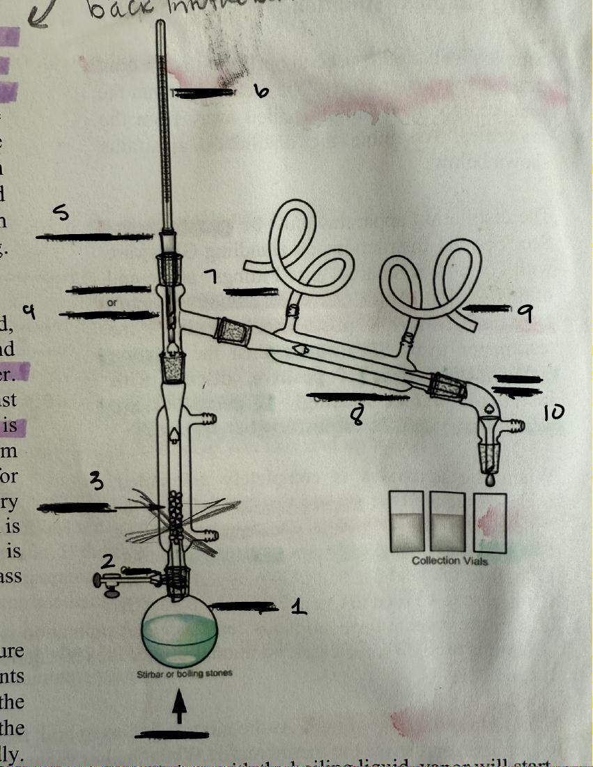 <p>8</p>
