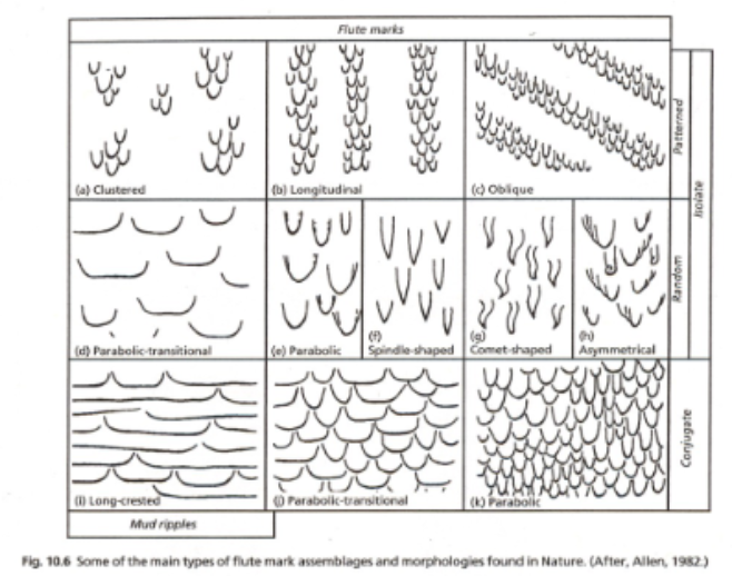 <p>Most are erosional;<span style="color: rgb(242, 240, 240);"> </span><span style="color: rgb(242, 240, 240);">flutes and tool marks (divots), including bounce, skip, groove, and chevron marks</span></p>