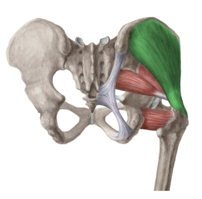 term image
