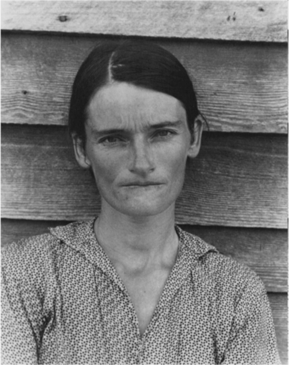<p>Also took photos of during the Depression Era, similarly to Dorothea Lange</p>