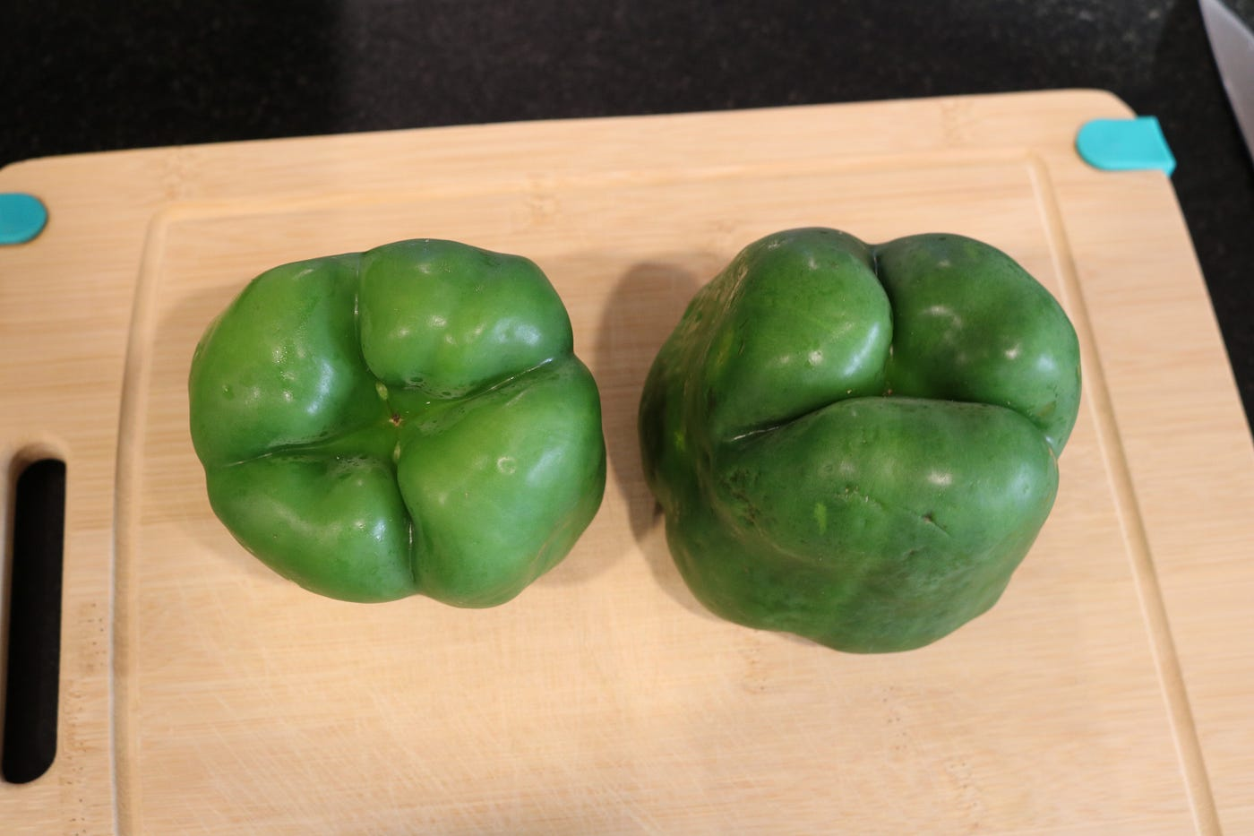 <p>which bell pepper is female?</p>