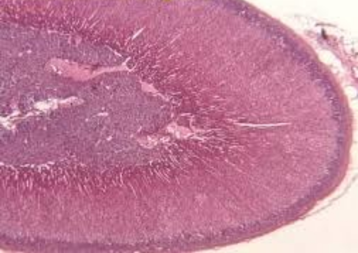 <p>What is this?</p>