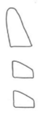 <ul><li><p>lower borders of all 3 vertebrae are flat</p></li><li><p>bodies of C3 and C4 are trapezoid shape</p></li><li><p>mandibular peak growth occurs on average 2 years after CS1</p></li></ul><p></p>