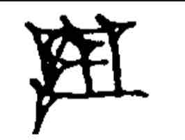 term image