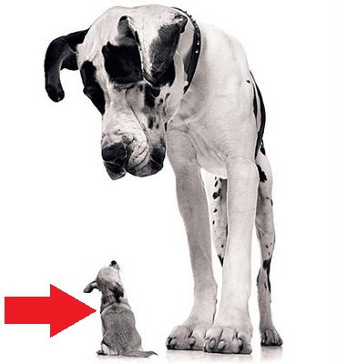 <p>klein, gering</p>