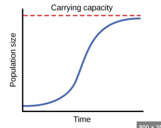 <p>Growth curve in which the rate of increase slows and the curve flattens </p>