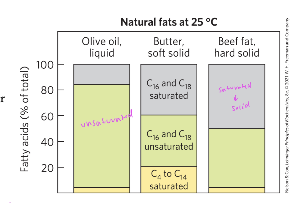 <p>VDWs forces being higher in more solid fats</p>