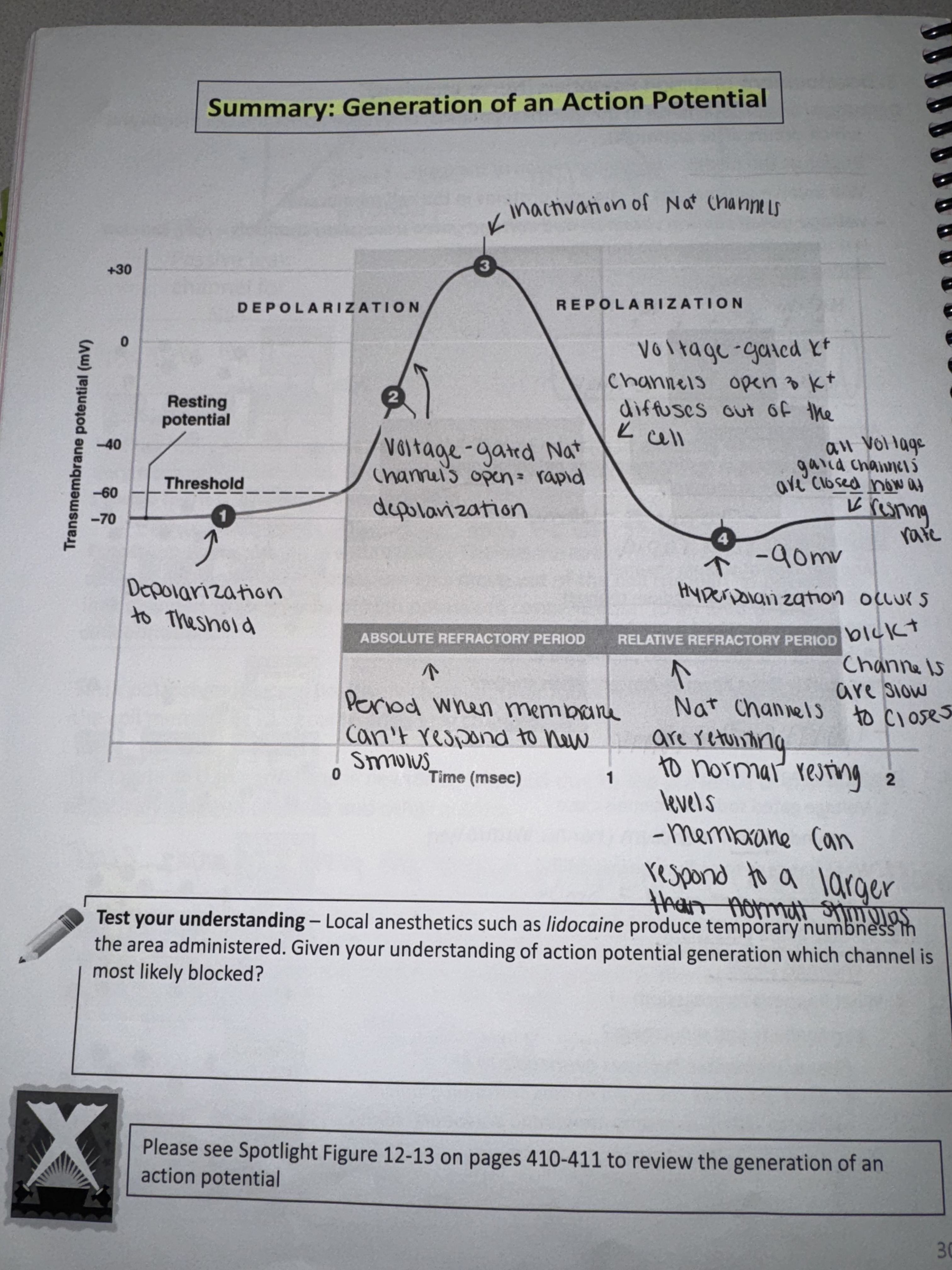 knowt flashcard image